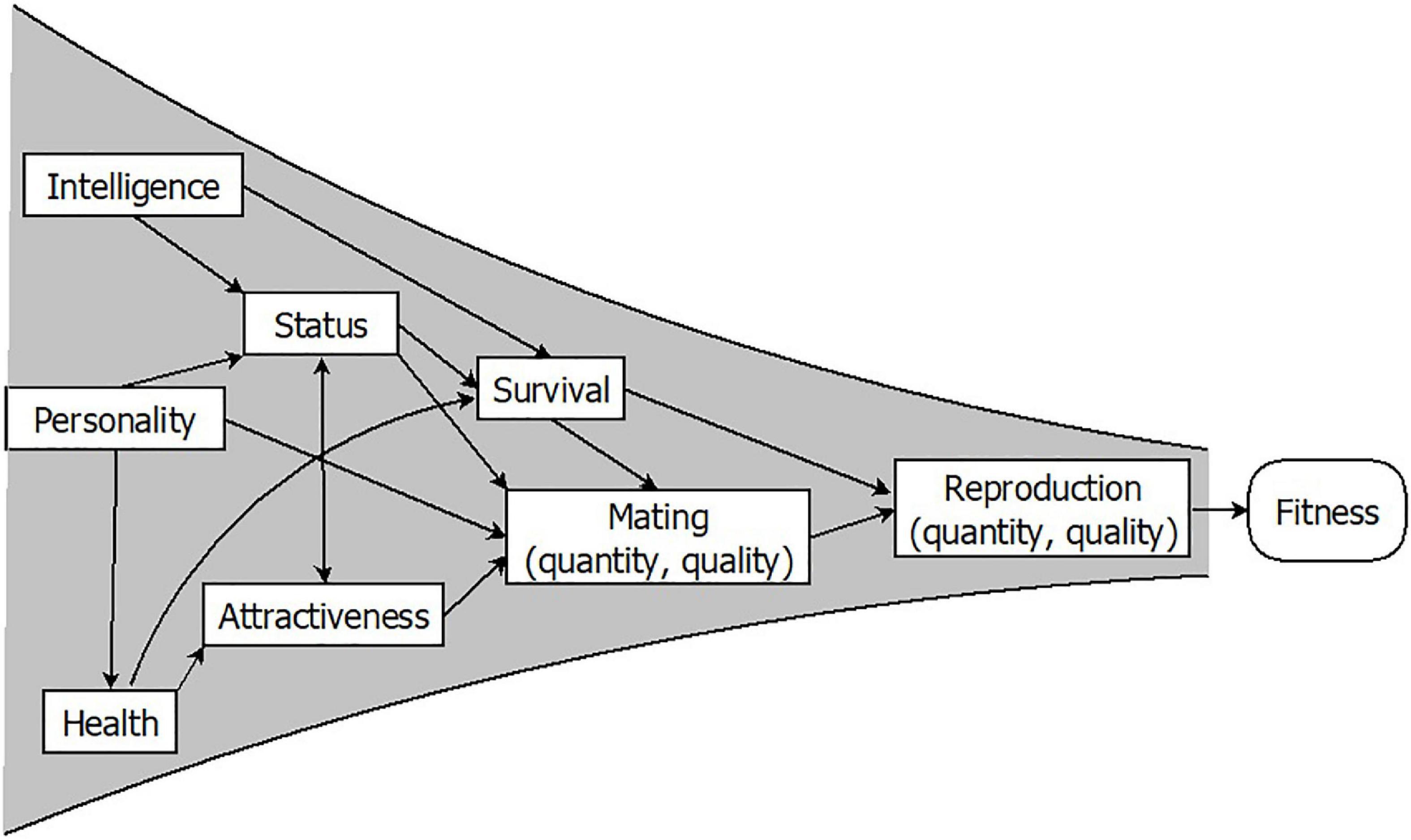 The evolution of personality disorders: A review of proposals